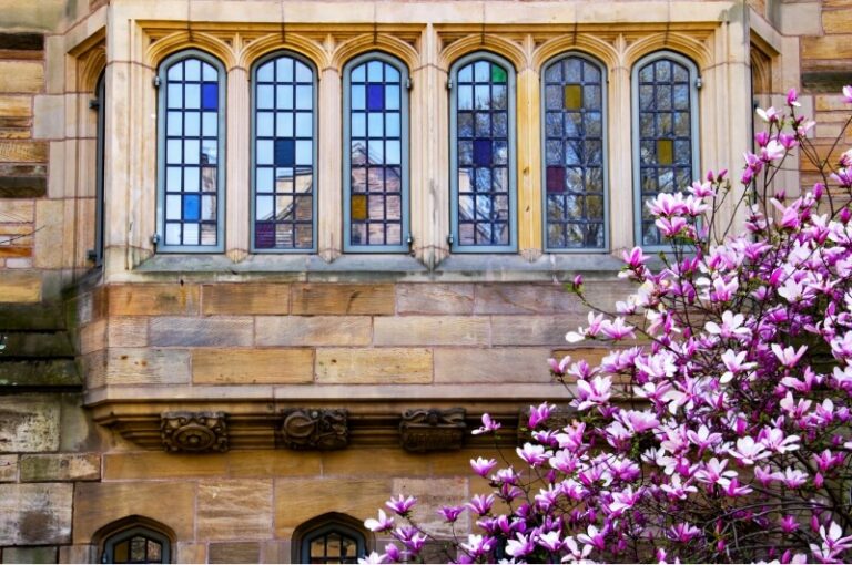 flowers-yale-building