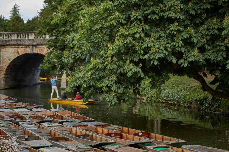 OxfordAcademia_Excursions_Punting