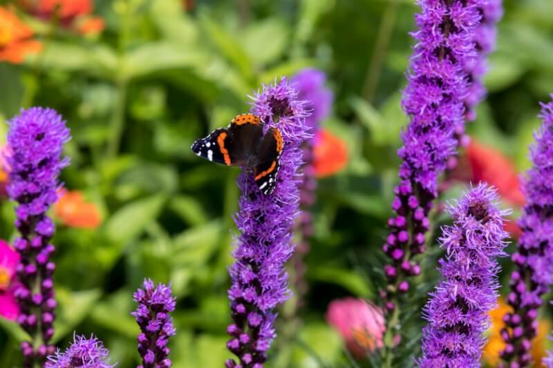 OxfordAcademia_Excursions_Yale_Botanical_Gardens