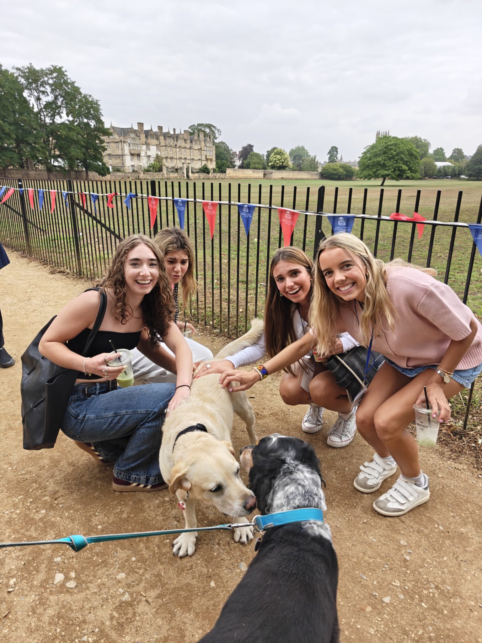 Four students lea down to pet a dog