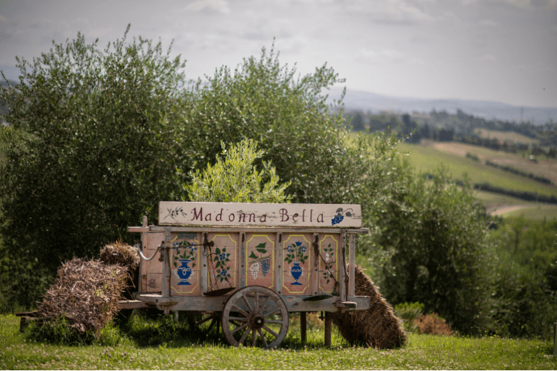 oxford-academia-siena_10