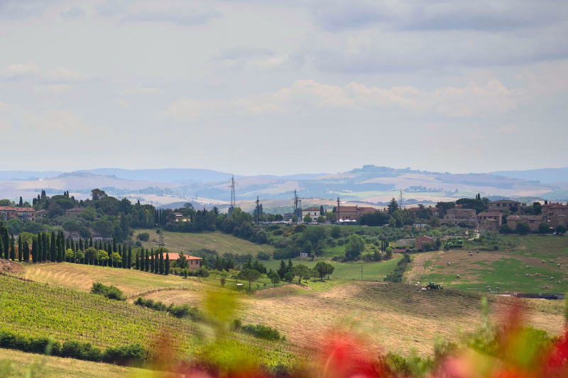 oxford-academia-siena_10